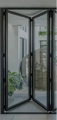 Folding Door